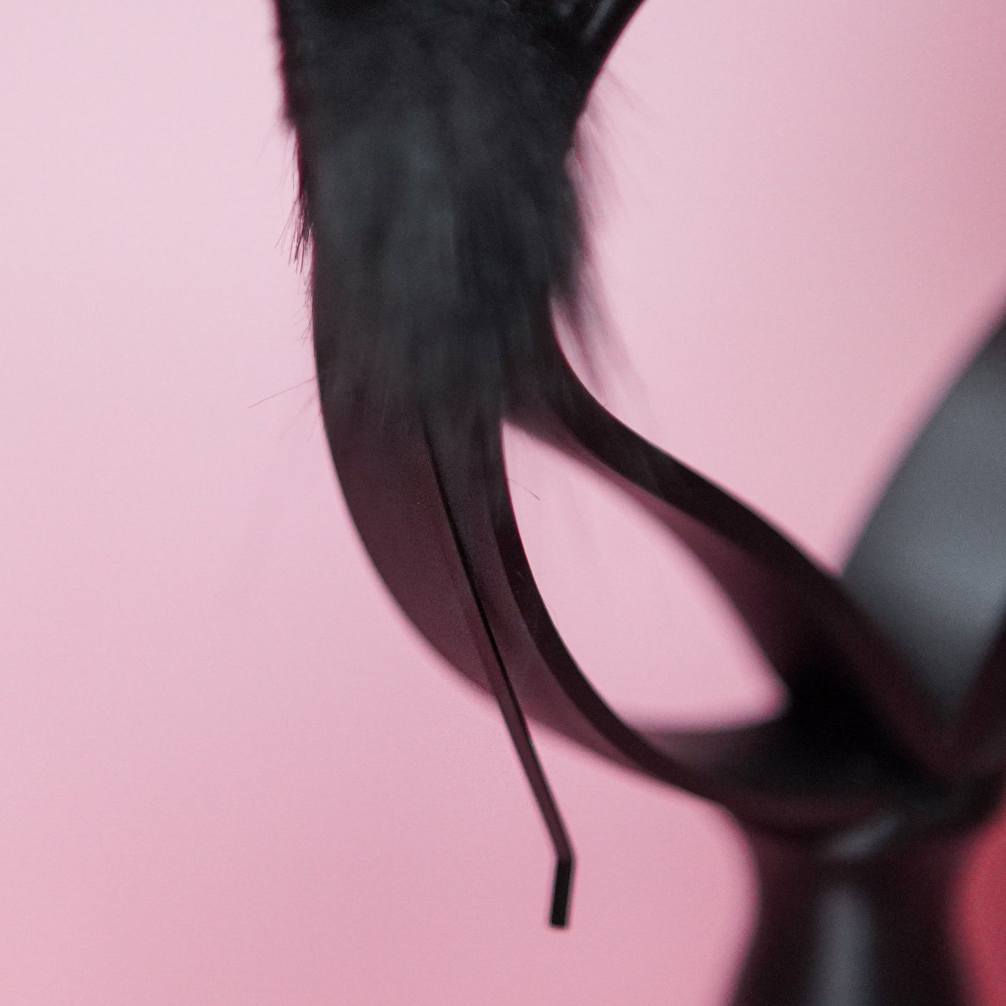 Faux Fur Cat Ears in Black