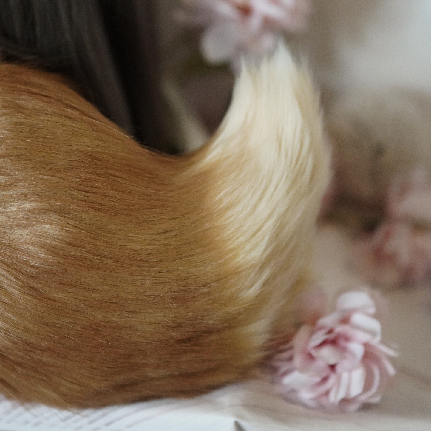 (Ready For Ship) Eevee Set Cosplay Ears + Tail
