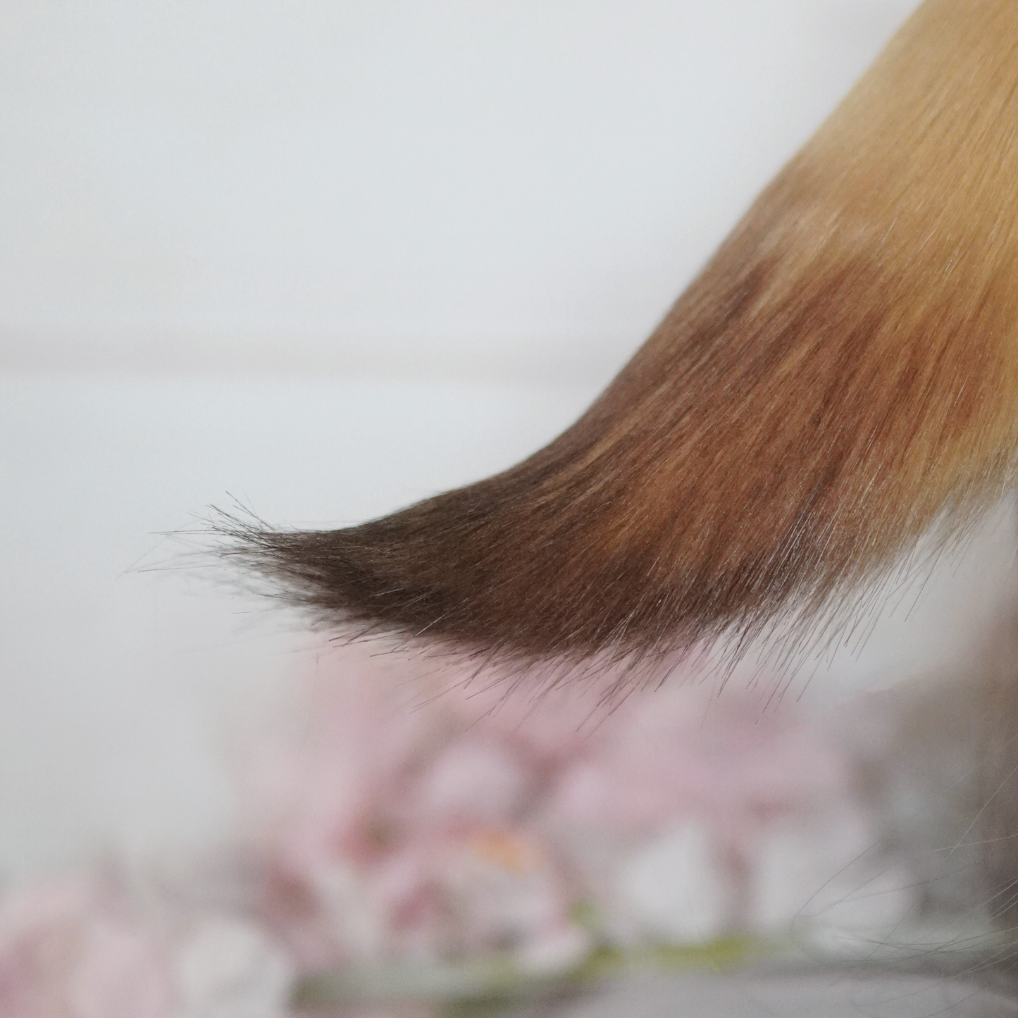 ZZZ Ye Shunguang Cosplay Ears Light Brown Version