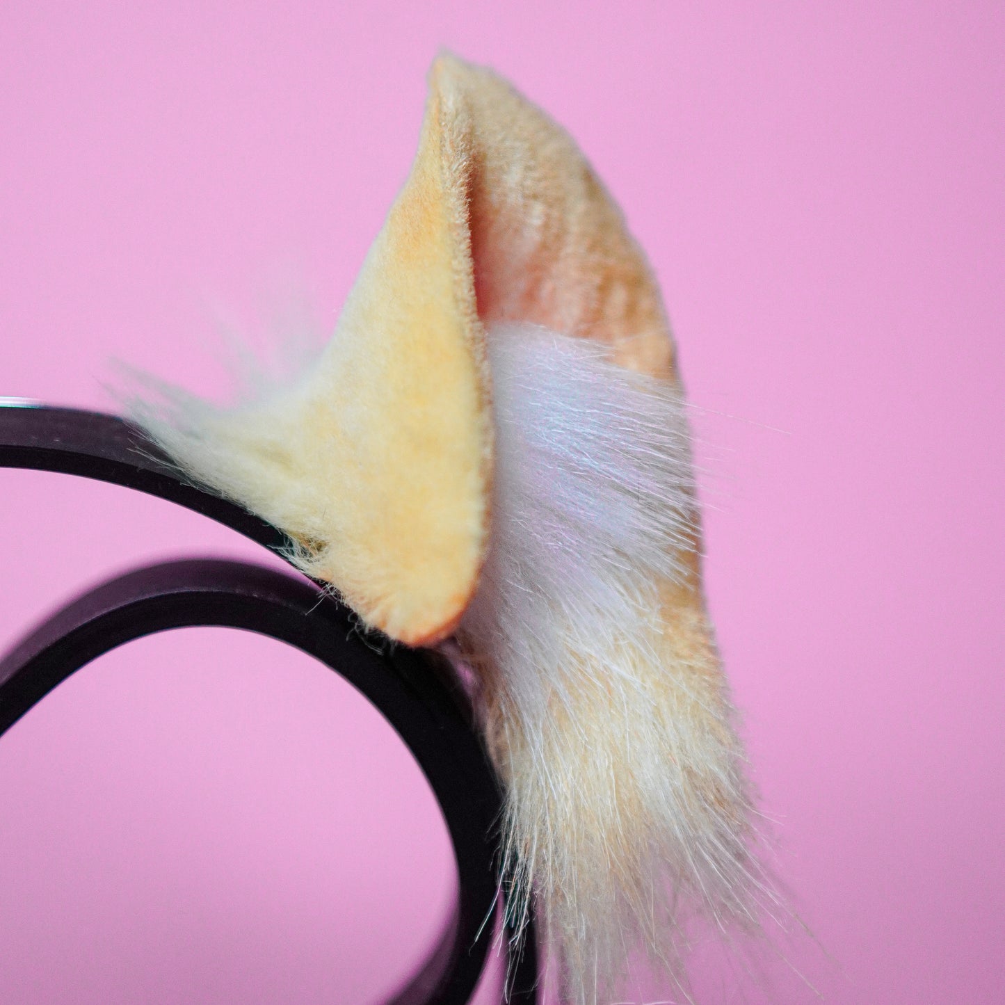 Nekopara Maple Cat Ears